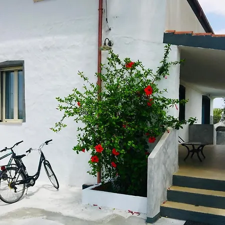 Vakantiehuis Cedrino *