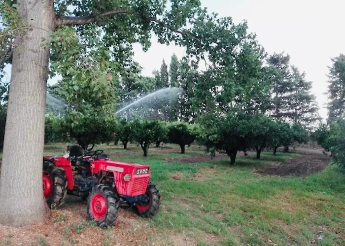 Vakantiehuis Cedrino *