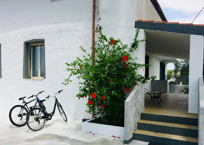 Vakantiehuis Cedrino *